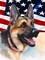 Diamond Painting American Flag and Police Dog Art Kits for Adults Embroidery Paintings DIY 5D Home Wall Decor